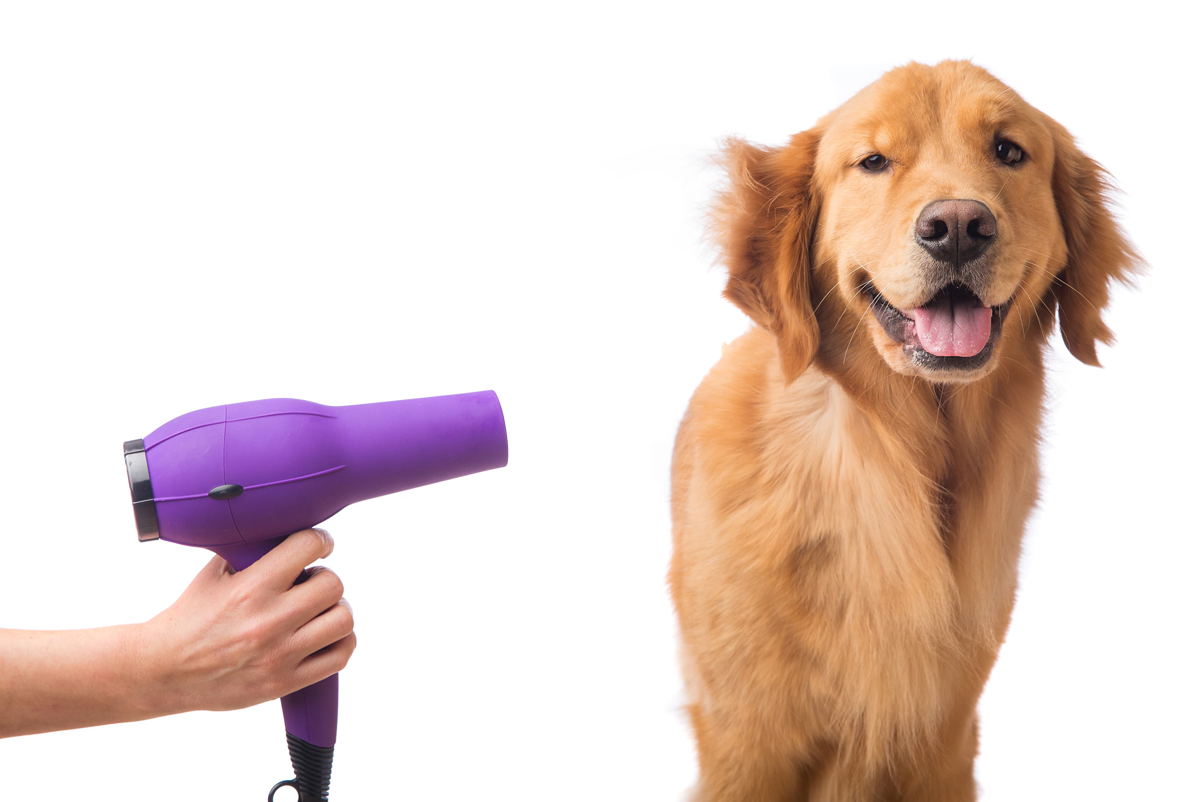 5 Tips for Stress-Free Grooming